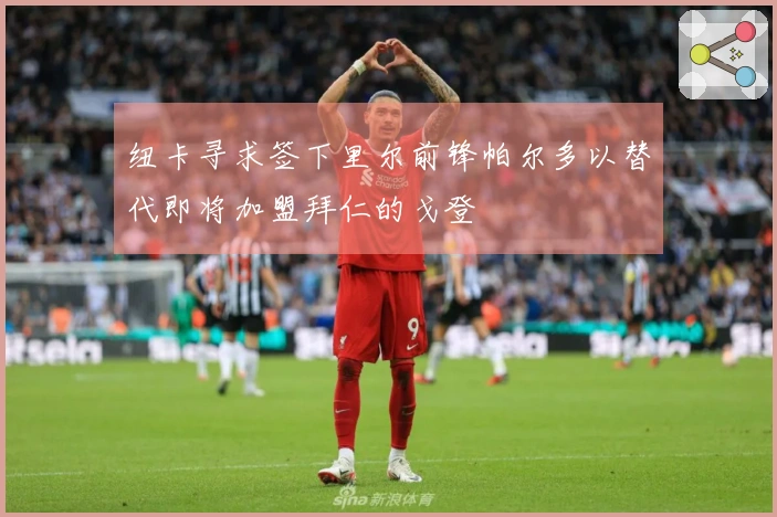 纽卡寻求签下里尔前锋帕尔多以替代即将加盟拜仁的戈登